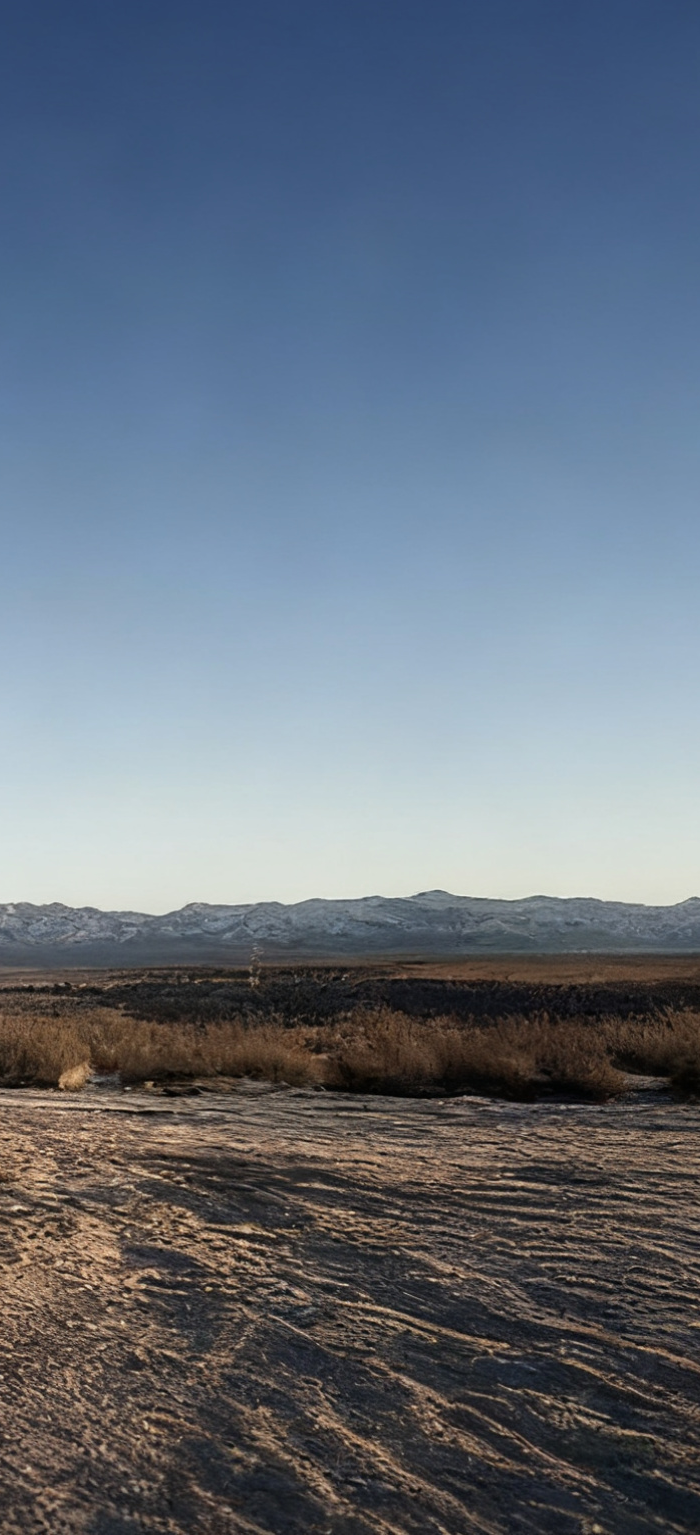 <h1><strong>Flashpeak</strong></h1>